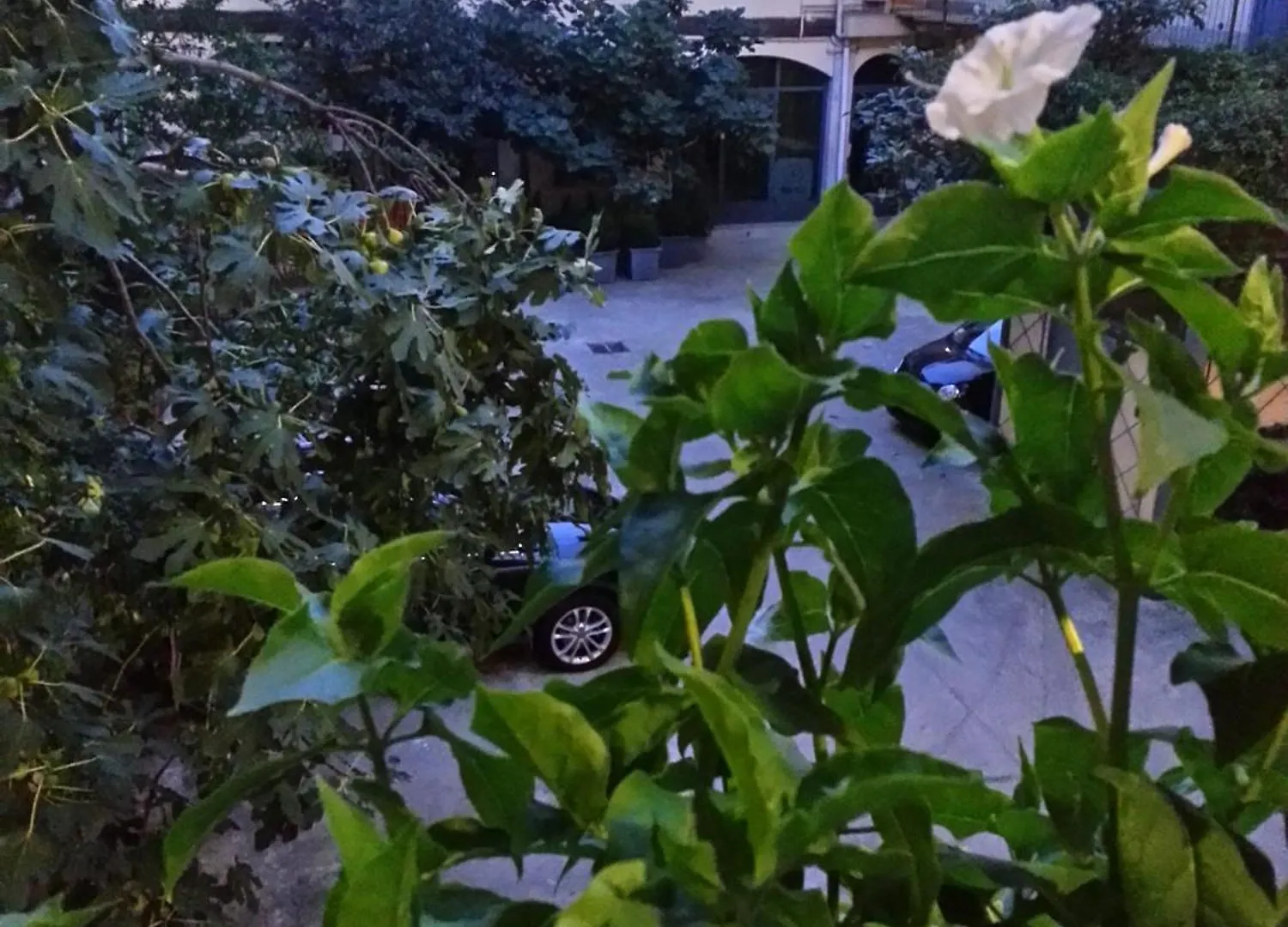 Gioia House Bed & Breakfast Milan